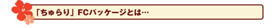 「ちゅらり」FCパッケージとは…