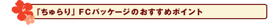 「ちゅらり」FCパッケージのおすすめポイント